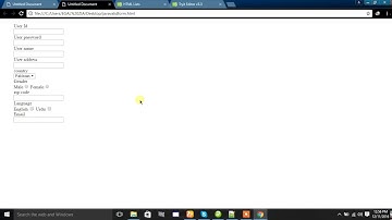 Form Validation  in Javascript part2 Hindi/urdu