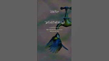 اكتب شيء تؤجر عليه❤️ #آيات #quran #ايات_قرانيه_قصيره #اجر_لي_ولك #قران_كريم #راحة_نفسية#quran_kareem