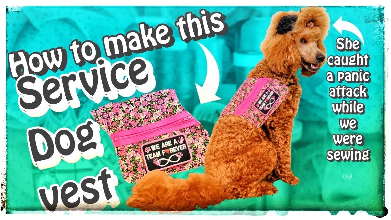 Service Dog Vest Sewing Tutorial Pharaby Helped Me With A Panic Service Dog Vest Sewing Tutorial Pharaby Helped Me With A Panic