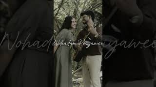 ♡~Nohadan Priyawe~♡ 《 Dilu beats song 》( sinhala heart touching song) ♥