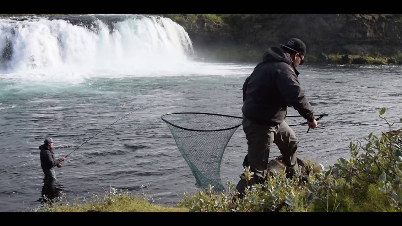 Fly fishing in iceland YouTube