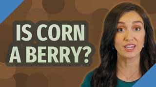 Is corn a berry? Net Worth