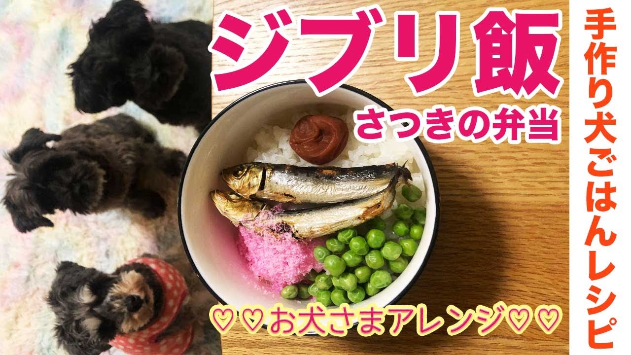 ジブリ飯 トトロ さつきのお弁当 お犬さまアレンジ 手作り犬ごはんレシピ Youtube