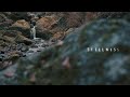 STILLNESS | Stones & Water Art – Quiet Acceptance