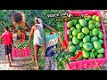 Only ₹50/-Kg | यहां पर पेड़ से आपके सामने आम तोड़ कर दिया जाता है 😱😳 | Bihar | Indian Street Food