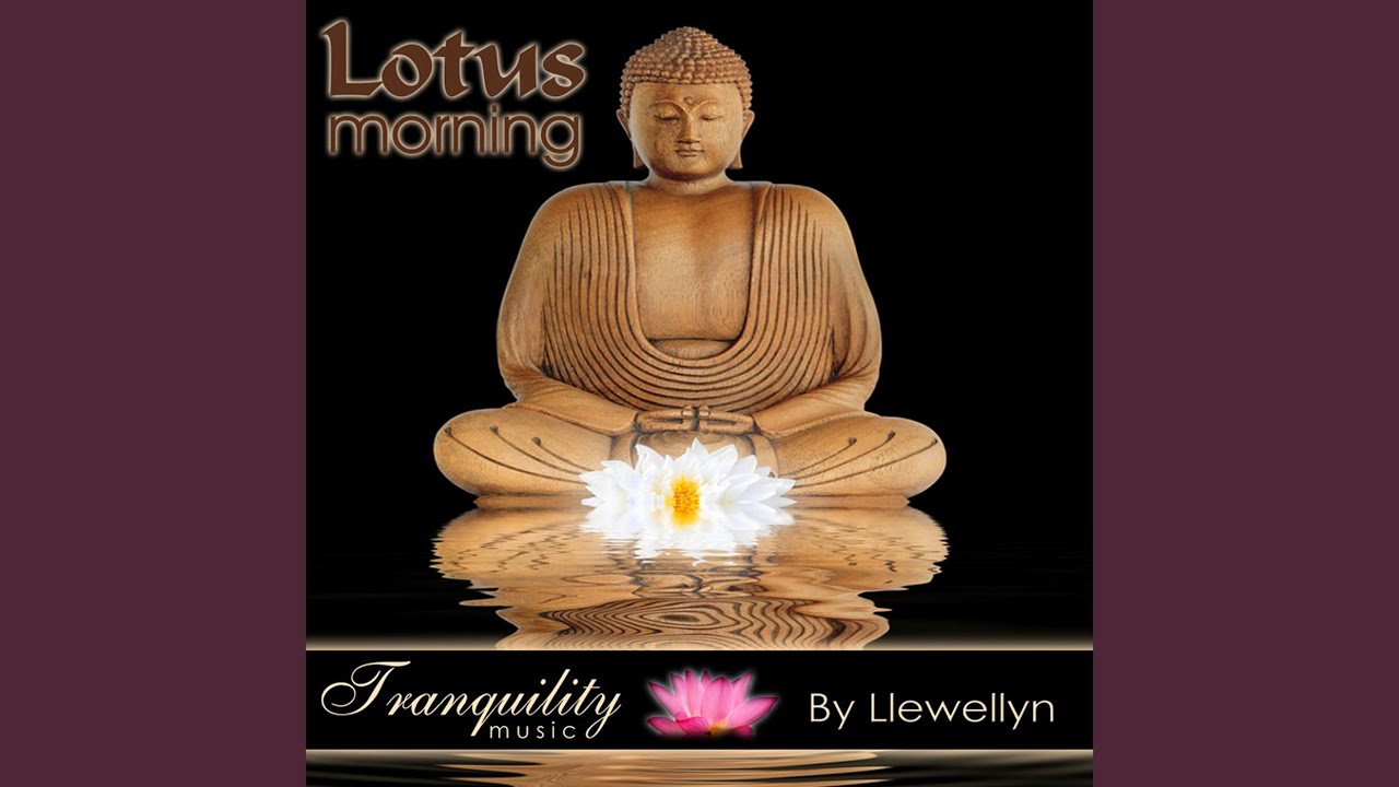 Lotus Morning