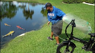 Capturing Wild Colorful Fish to Feed my Pets!  **HeyBike E-Bike** by Joey Slay Em 8,534 views 1 year ago 10 minutes, 32 seconds