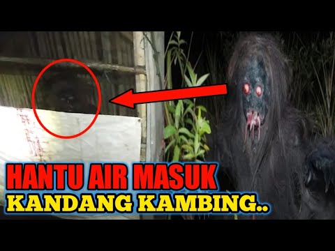 VIRAL 2022 ‼️ Kuyang Makan Kambing , Mirip Hantu Air