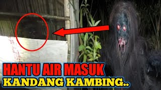 NGERI ‼️ Kuyang Makan Kambing , Mirip Hantu Air