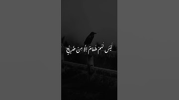 #سورة #سورة_الغاشية #اكسبلور #القرآن_الكريم #لايك #ذكر_الله #القرآن #تلاوة_خاشعة #تلاوة
