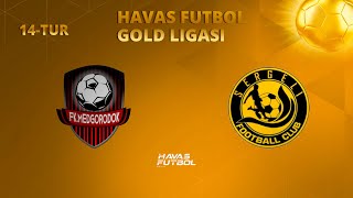 Havas Futbol GOLD Ligasi 14 - TUR / MEDGORODOK 2 : 2 SERGELI