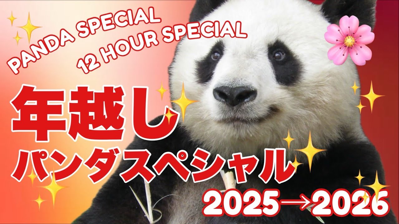 特別編集版♥】年越しパンダスペシャル2025→2026♥ パンダとつなぐ