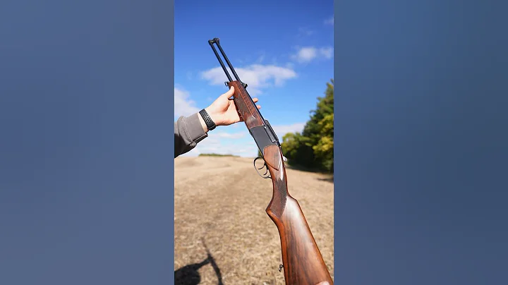 Russian Baikal 308 Express