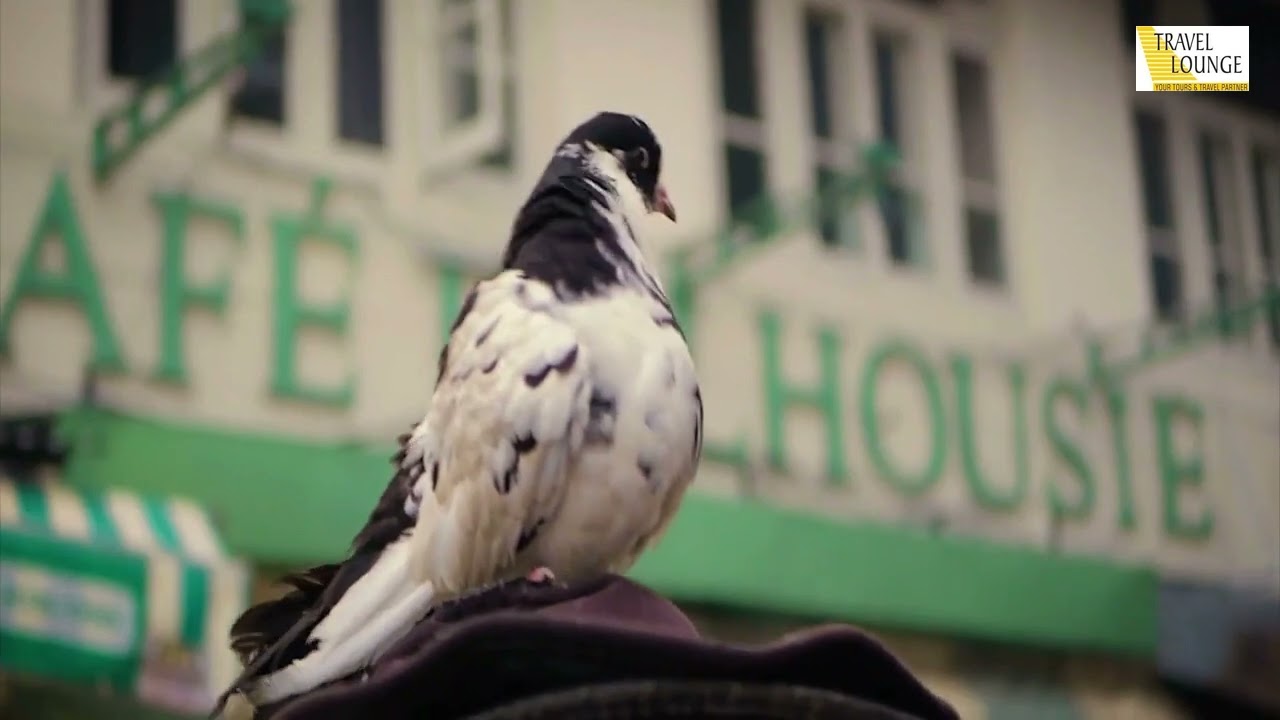 Explore Dalhousie | www.travellounge.co