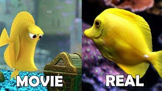 Famous Finding Dory Characters in Real Life Net Worth