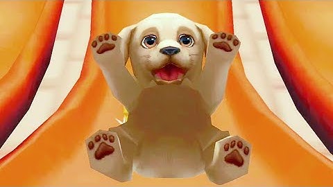 Pet Run - Puppy Dog Game#8 (part 4) _ Gameplay 2022_ios, Walkthrough, Android game