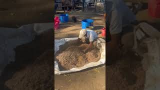 Own A Cow, Share The Profits