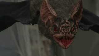 Animated Flying Bat