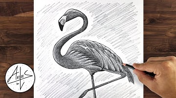 How To Draw a FLAMINGO | Drawing Tutorial For Beginners  (step by step)