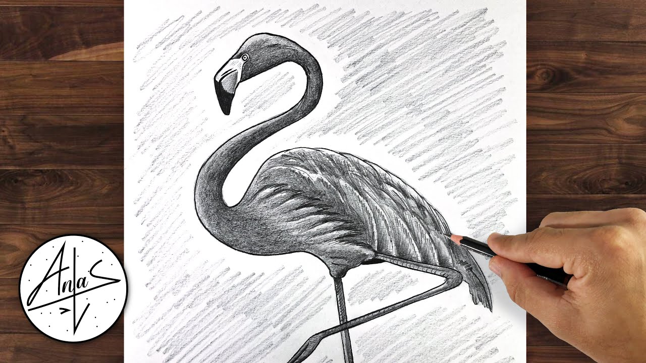 Flamingo drawing hi-res stock photography and images - Alamy