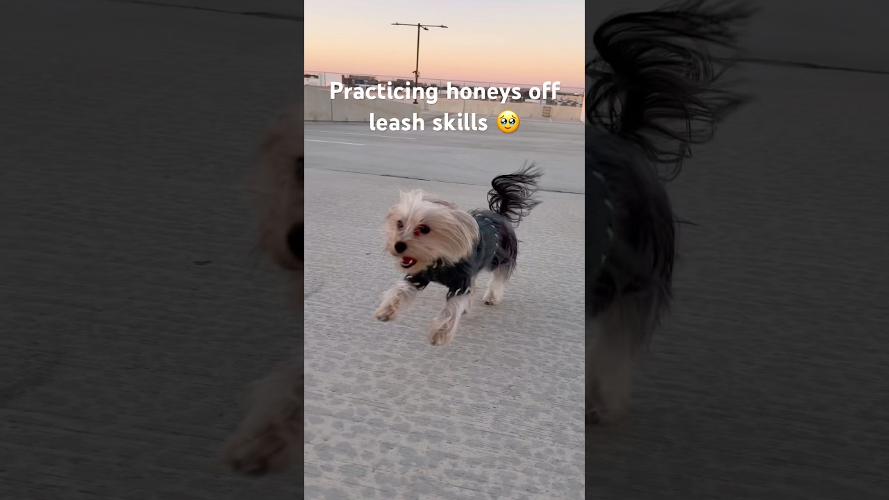 Самый милый ангел на свете 🥹 