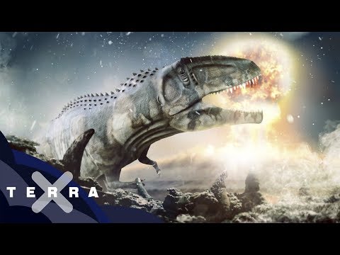 Video: Warum Sind Dinosaurier Verschwunden?