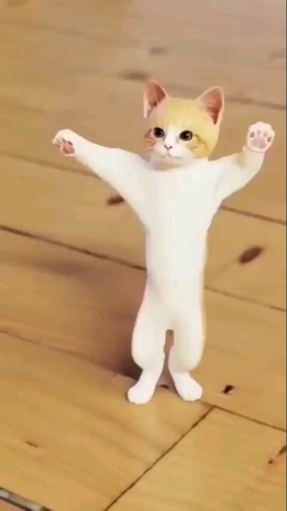 وناسة وناسة