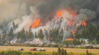 🚨 BC Wildfires Rage On  | 231,985 Hectares Burned Across British Columbia