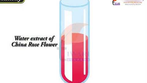 Class 7 Science Chapter 5 Acids, Bases and Salts - China Rose as Indicator.