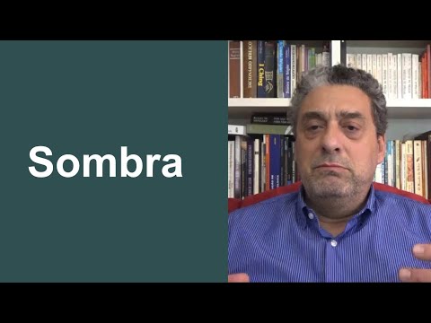 Sombra - Psicologia Junguiana - Dr. Waldemar Magaldi Filho