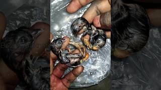 screenshot of the youtube video