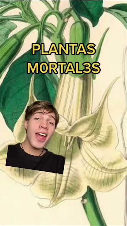 El P3LIGR0S0 FLORIPONDIO #shorts