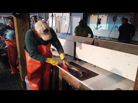 Valdez, Alaska som ligger i fjorden Prince William Sound. En Motorcykelresa genom "Alaska & Yukon"