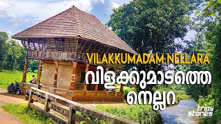 Nellara Vilakkumadam വളകകമട നലലറ Meda Nellara Paika Vilakkumadam Pala Mallikeri