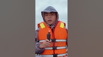 Bão số 10 gây mưa kỷ lục: Hà Tĩnh ngập sâu lịch sử, nhiều hộ dân bị cô lập | VTC News