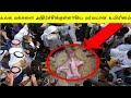 Mysterious Creature in The World Tamil | VIKKY PICTURES