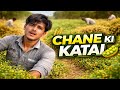 Aaj Khet Me Chane Ki Katai 🌾 | Khet Me Mehnat | Sandeep Jingar Vlogs |