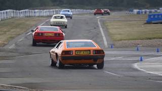 Short clip of parade at TLF International Lotus Day 2017 by FurLinedUK 33 views 6 years ago 36 seconds