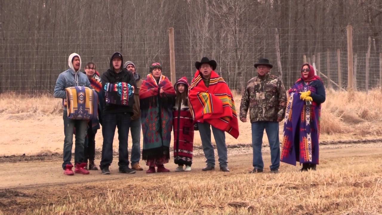 Bison Transport YouTube