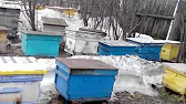 ПАСЕКА ВЛАДИМИРА РЯБУХИНА