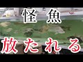 [アクアリウム] 怪魚 が 4メートル 水槽 へ放たれた結果···