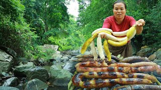 survival in the rainforest-found eggplant with sausage for cook &amp; give to pets HD