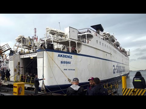 Activists organise 'Freedom Flotilla' laden with food aid for Gaza