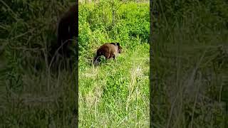 На Байкале район Гаряченска. ролик не мой