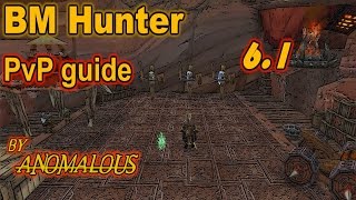 BM Hunter 6.2 PvP guide - Talents/Glyphs/Pets/Macros/stat priority