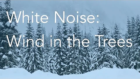 Wind in the Trees | Sounds for Relaxing, Focus or Deep Sleep | Nature White Noise | 8 Hour Video