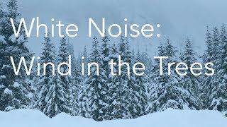 Wind in the Trees | Sounds for Relaxing, Focus or Deep Sleep | Nature White Noise | 8 Hour Video