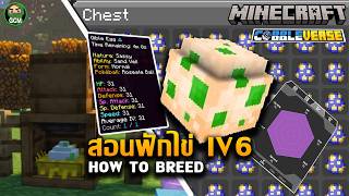 Cobbleverse - สอนฟักไข่ MAX IV'S !!