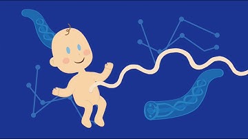 What Is Cord Blood? | CryoCyte