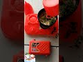 Toy Kitchen Play for Kids 🍽️ | Pretend Play #shorts
